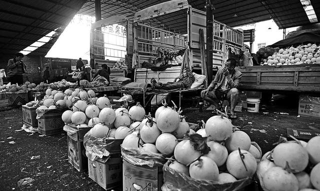 今年甜瓜价格低迷 陕西瓜农甜不起来(图)