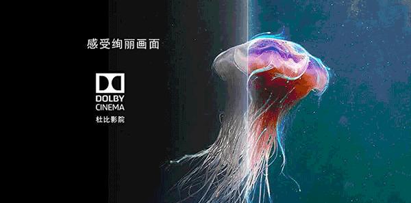 万达影城高新广场店开业倒计时 沉淀是为了更