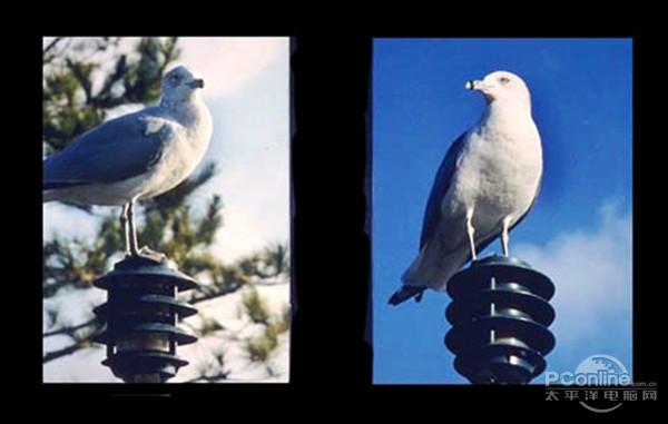 手机摄影教程:构图的一些基本原则