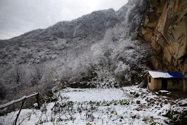 终南山隐士神秘生活录(二)_大秦网_腾讯网