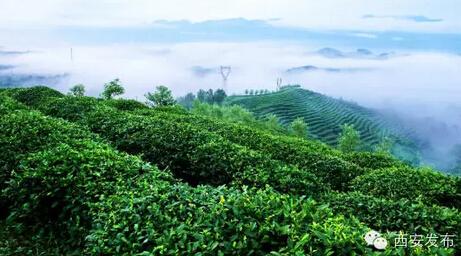 西安周边特色古镇