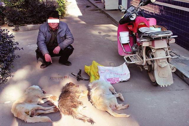 用弓弩偷盗土狗后杀狗卖钱 汉中俩男子被拘留