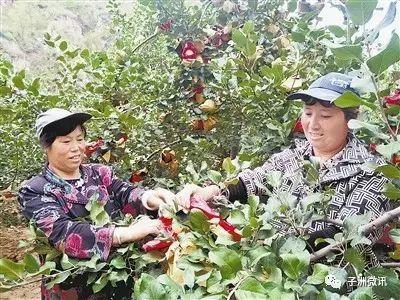 子洲县gdp_“十三五”期间子洲地区生产总值跨越50亿元关口