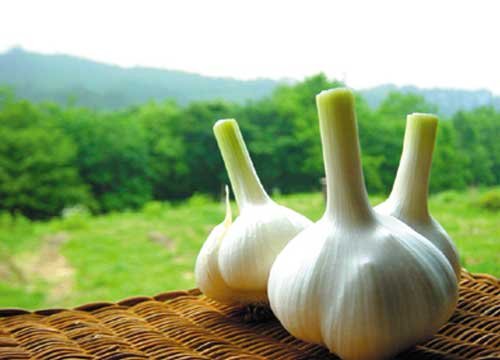 厨房三宝姜葱蒜的食用守则