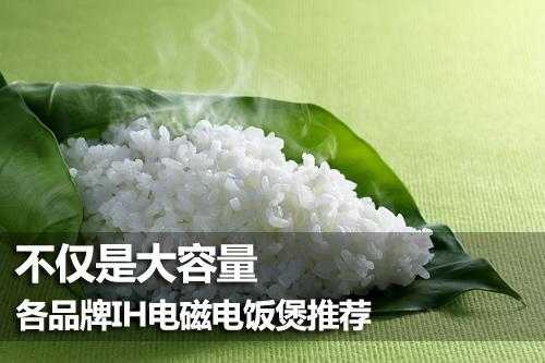 不仅是大容量 各品牌IH电磁电饭煲推荐