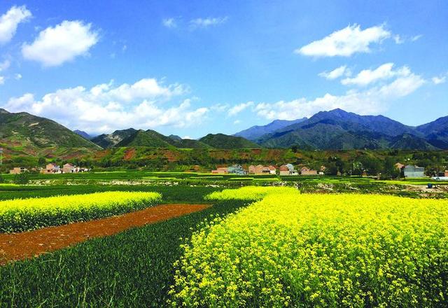 五一小长假第一天雨袭古城 气温或降10℃(图)