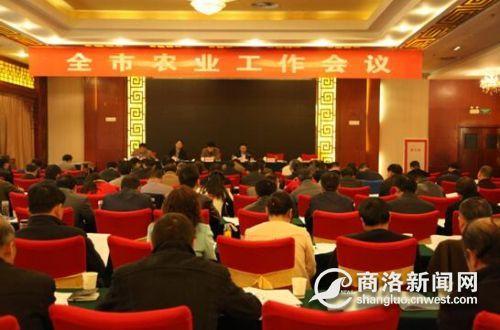 济源职业技术学院_农民人均纯收入 济源(3)