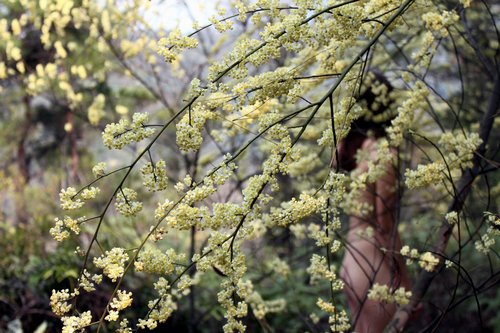 广东南丹山推出天体森林浴 一女游客大胆尝试_大秦网_腾讯网