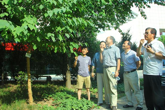 实景可逛 陕西首家专业树木数据库免费向公众