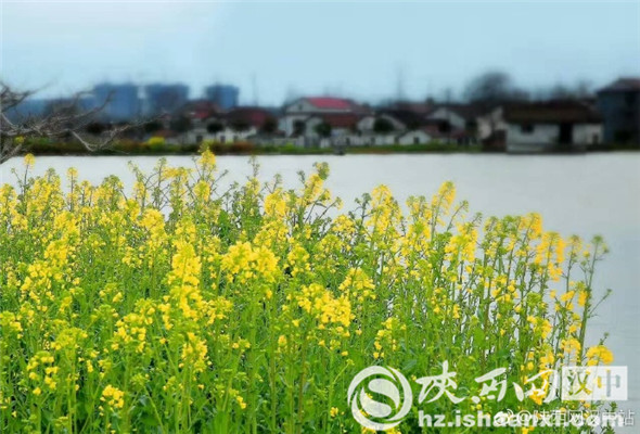 南郑人口数量_汉中南郑区地图(3)