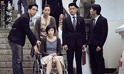 第17期:《圣诞玫瑰》