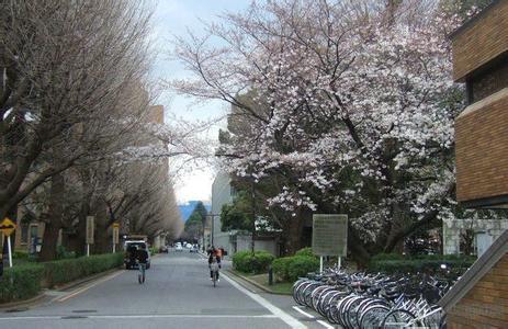 日本东京大学留学的入学条件是什么