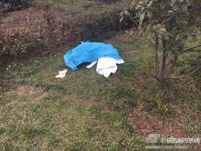 西安两婴儿被弃医院附近绿化带发现时已身亡