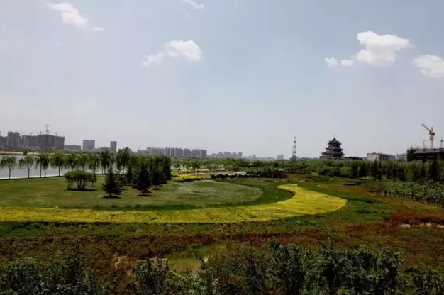 陕西首个苗木花卉省级示范园—中国森博园在咸阳开工