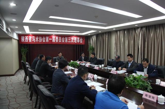 马术文化 陕西省马术协会全力备战第十四届全运会