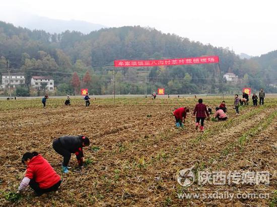 汉中产业扶贫政策秋季攻势在南郑区首先开战