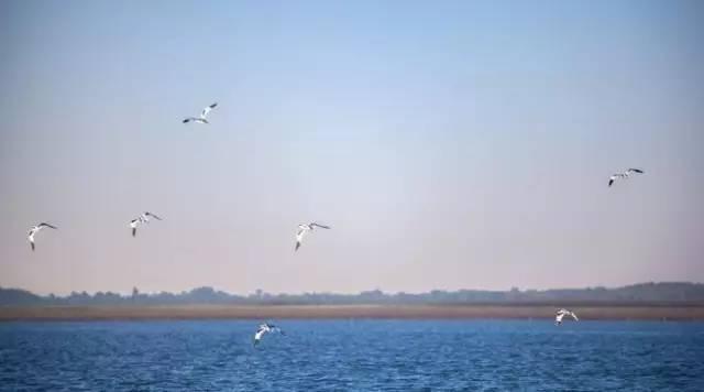 神木红碱淖保护遇困镜 恐将成为第二个罗布泊