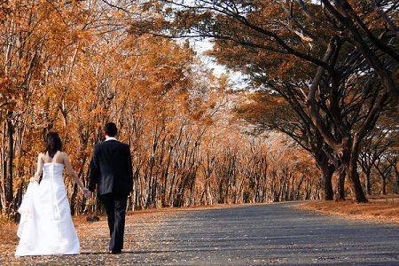 国外唯美婚纱照精选