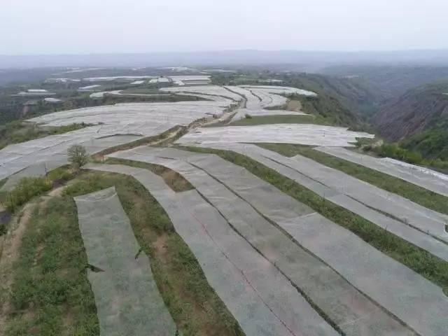 全村经济发展总量_全村的希望图片(3)