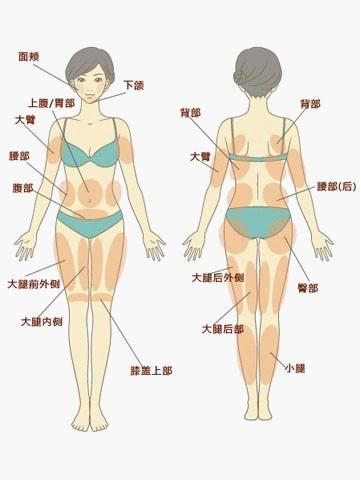 溶脂瘦身duang一下 让你变瘦拥有s身材