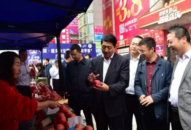 延安苹果在广州获150多个国家专家盛赞