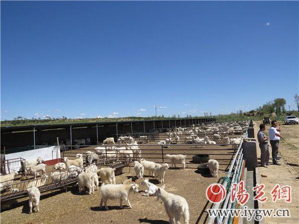 榆阳区经济总量_榆林市榆阳区(3)