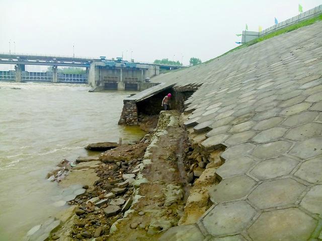 汉江综合整治汉台区河堤 建成不到1年20米塌方