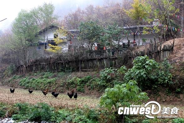 1.5小时车程 到秦岭腹地宁陕去赏雪、吸氧、逛