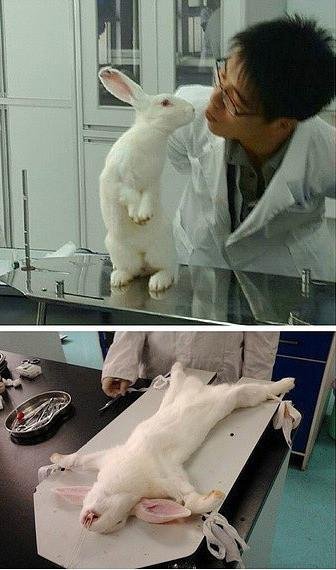 割完动脉割静脉,一动不动真