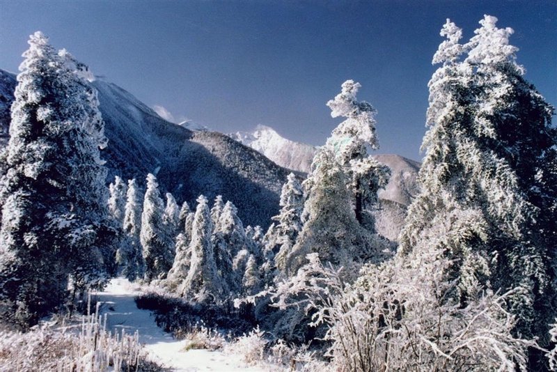 冬季太白山唯美冰雪世界 银妆素裹彰显神秘圣洁