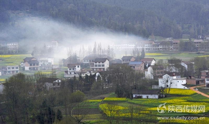 官岭村人口_东城涡岭村人口(3)