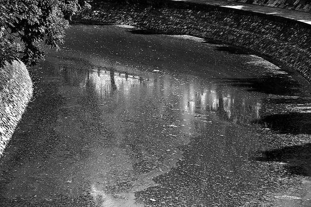 <em>西安西门</em>外护城河水面漂满绿藻 气味腥臭刺鼻