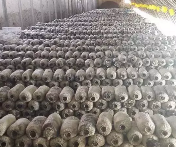 甘泉落实大棚蔬菜产业园310座 栽植山地苹果7