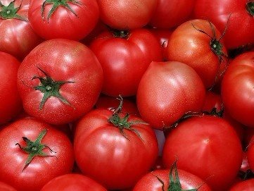 番茄全身都是宝 怎样吃最养生