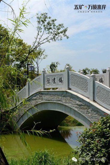 7218640.jpg