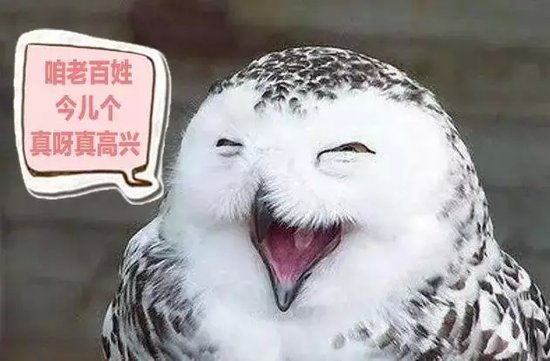 得意的笑 翻唱图片