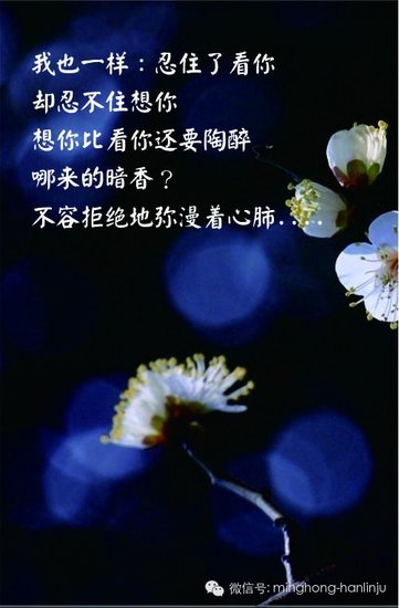 翰林居 情人节倒计时特献 忍住了看你却忍不住想你