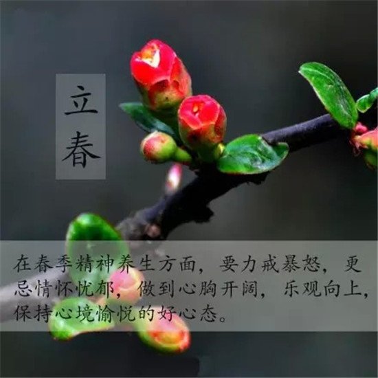 7219107.jpg