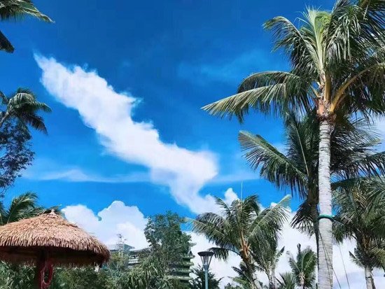 这家房企真会玩 马来西亚走一趟看房旅游两不