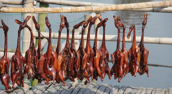 寻找孝感最美味道 从小吃到大的酱板鸭_频道-