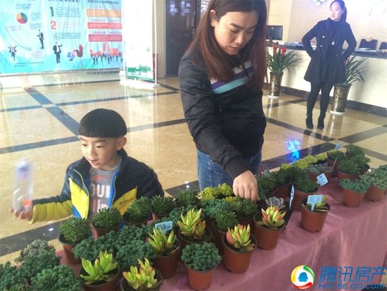 点亮一城春色!万新·莱茵半岛认领春天全城送