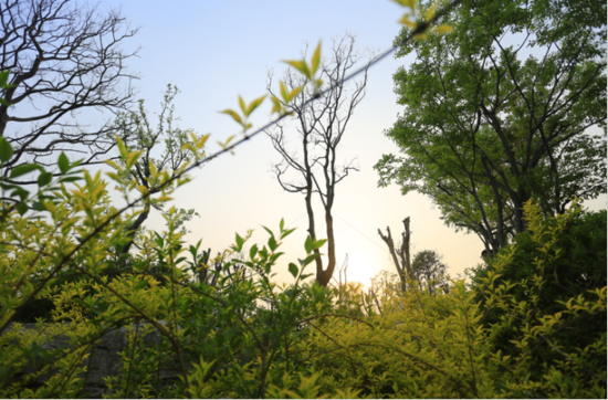 头条大揭秘 玉潭花溪首开火爆热销的8大秘密_