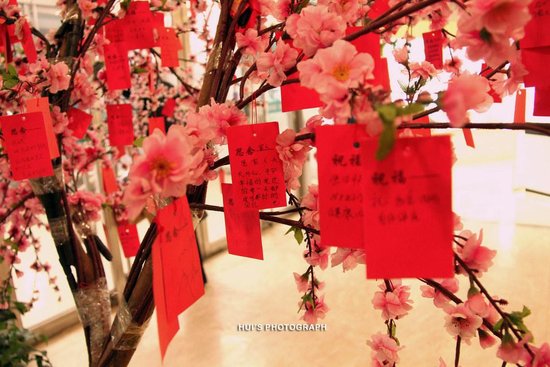 协鑫鑫尚七夕浪漫家庭日即将盛大开启 _频道-