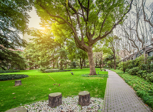 旧区改造焕新颜 多得是你不知道的事_频道-徐州