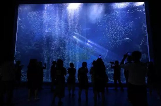 店三胞国际广场,超多内幕图首轮曝光!_频道-徐州