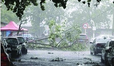 狂风暴雨冰雹昨袭徐州 不少行道树被连根拔起
