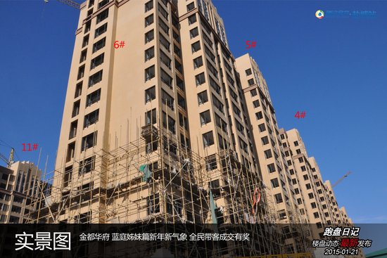 跑盘日记:金都华府一月下旬工程进度_频道-盐