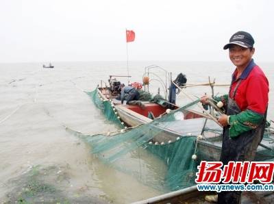 银鱼和梅鲚昨凌晨起捕捞 扬州本地吃的多是小