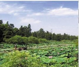 城建篇_腾讯扬州站_腾讯网_扬州买房_扬州房价