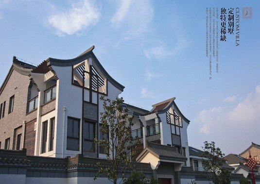 新宁农村经济型别墅 新宁农村经济型别墅
